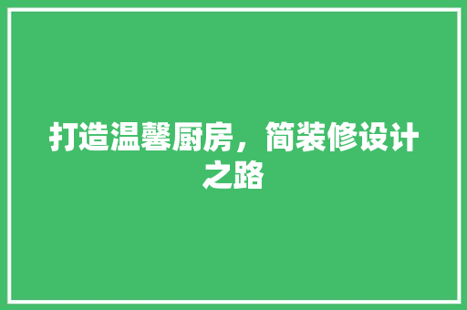打造温馨厨房，简装修设计之路