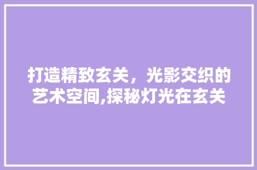 打造精致玄关，光影交织的艺术空间,探秘灯光在玄关设计中的应用
