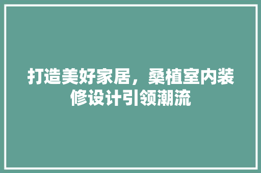 打造美好家居，桑植室内装修设计引领潮流