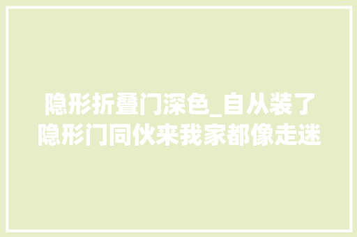 隐形折叠门深色_自从装了隐形门同伙来我家都像走迷宫