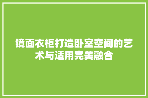 镜面衣柜打造卧室空间的艺术与适用完美融合
