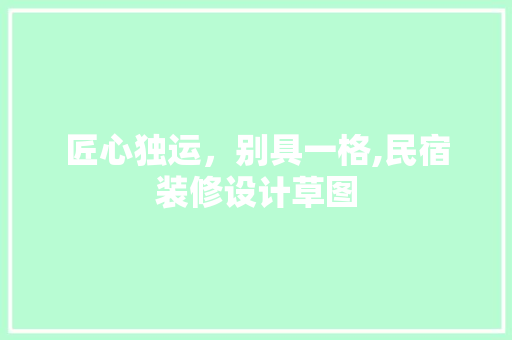 匠心独运，别具一格,民宿装修设计草图