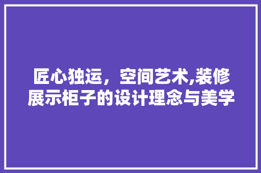 匠心独运，空间艺术,装修展示柜子的设计理念与美学探析