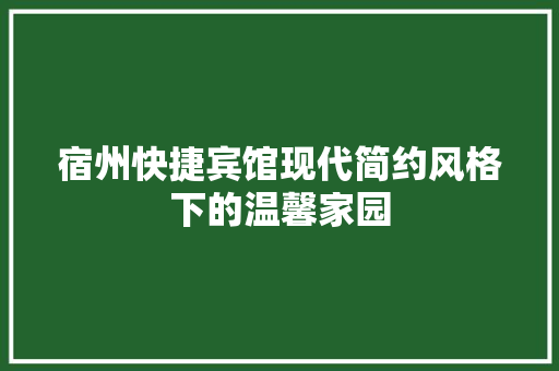 宿州快捷宾馆现代简约风格下的温馨家园
