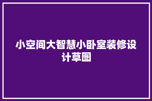 小空间大智慧小卧室装修设计草图
