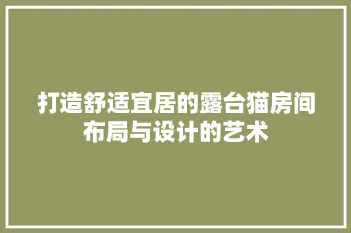 打造舒适宜居的露台猫房间布局与设计的艺术