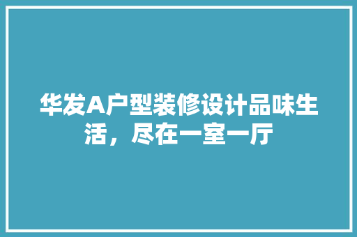 华发A户型装修设计品味生活，尽在一室一厅