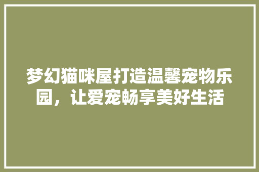 梦幻猫咪屋打造温馨宠物乐园，让爱宠畅享美好生活