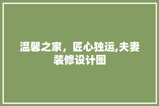 温馨之家，匠心独运,夫妻装修设计图