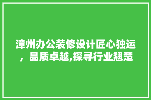 漳州办公装修设计匠心独运，品质卓越,探寻行业翘楚的排名之谜