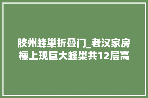 胶州蜂巢折叠门_老汉家房檩上现巨大蜂巢共12层高约半米罕有