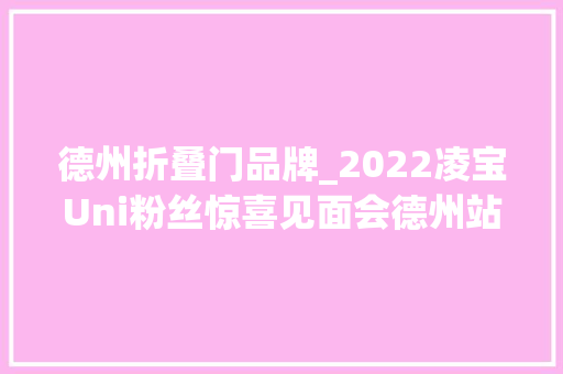 德州折叠门品牌_2022凌宝Uni粉丝惊喜见面会德州站火热举行新品牌成功逆袭不简单
