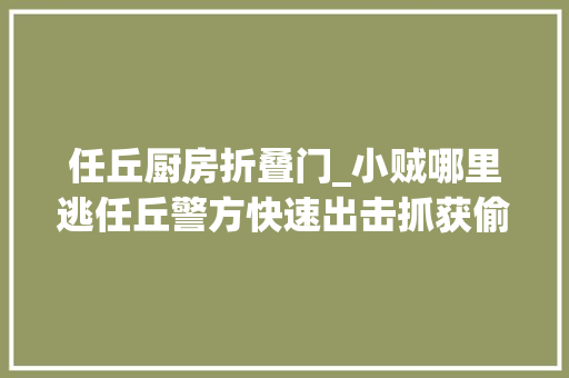 任丘厨房折叠门_小贼哪里逃任丘警方快速出击抓获偷窃惯犯