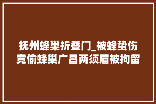 抚州蜂巢折叠门_被蜂蛰伤竟偷蜂巢广昌两须眉被拘留
