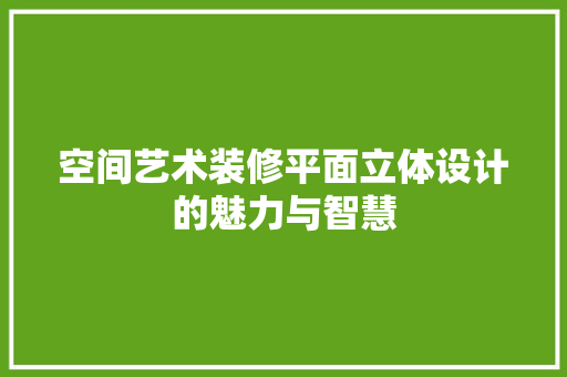 空间艺术装修平面立体设计的魅力与智慧