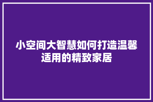 小空间大智慧如何打造温馨适用的精致家居