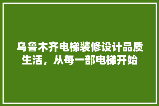乌鲁木齐电梯装修设计品质生活，从每一部电梯开始