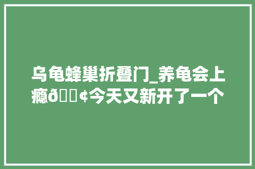 乌龟蜂巢折叠门_养龟会上瘾🐢今天又新开了一个小龟缸养龟日常