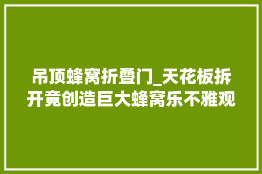 吊顶蜂窝折叠门_天花板拆开竟创造巨大蜂窝乐不雅观网友巧制蜂窝吊顶