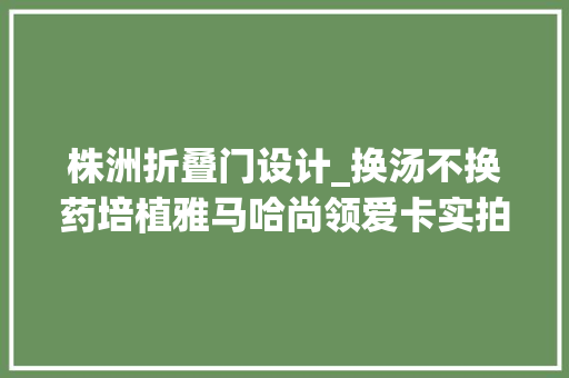 株洲折叠门设计_换汤不换药培植雅马哈尚领爱卡实拍