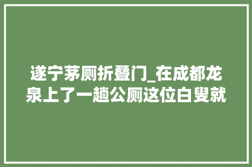 遂宁茅厕折叠门_在成都龙泉上了一趟公厕这位白叟就给区长写了一封信