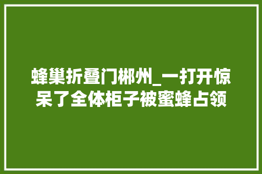 蜂巢折叠门郴州_一打开惊呆了全体柜子被蜜蜂占领