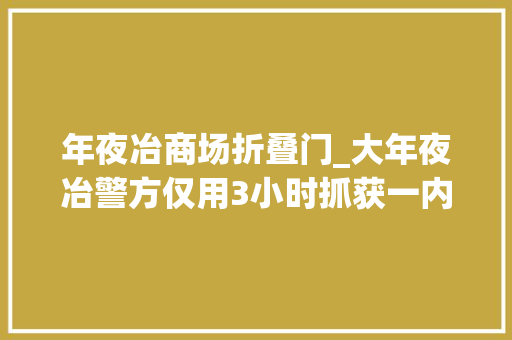 年夜冶商场折叠门_大年夜冶警方仅用3小时抓获一内衣大年夜盗