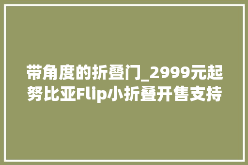 带角度的折叠门_2999元起努比亚Flip小折叠开售支持多角度悬停拍摄