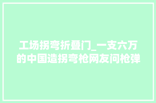 工场拐弯折叠门_一支六万的中国造拐弯枪网友问枪弹是怎么打出去的呢