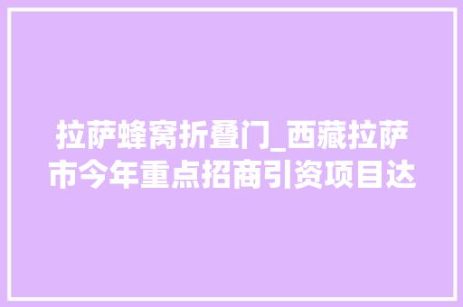 拉萨蜂窝折叠门_西藏拉萨市今年重点招商引资项目达87个