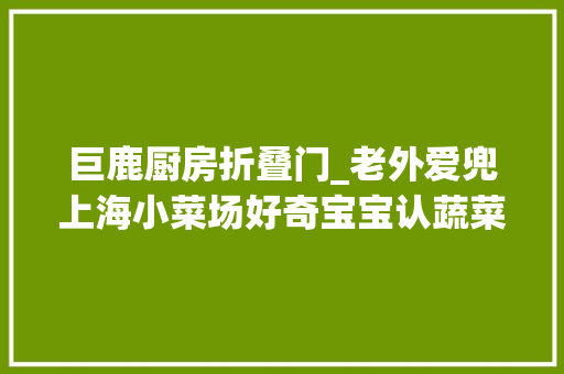 巨鹿厨房折叠门_老外爱兜上海小菜场好奇宝宝认蔬菜学做小笼加炒饭