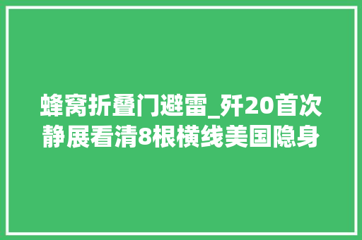 蜂窝折叠门避雷_歼20首次静展看清8根横线美国隐身机的防雷技能中国也有