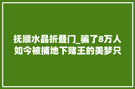 抚顺水晶折叠门_骗了8万人如今被捕地下赌王的美梦只做了550天