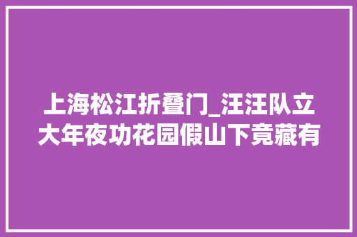 上海松江折叠门_汪汪队立大年夜功花园假山下竟藏有几十根金项链