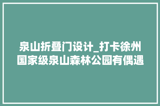 泉山折叠门设计_打卡徐州国家级泉山森林公园有偶遇的吗