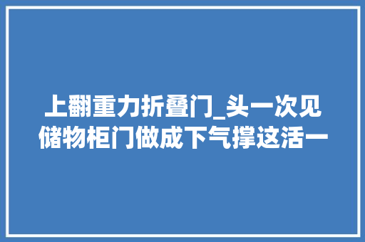 上翻重力折叠门_头一次见储物柜门做成下气撑这活一般木工还真做不来