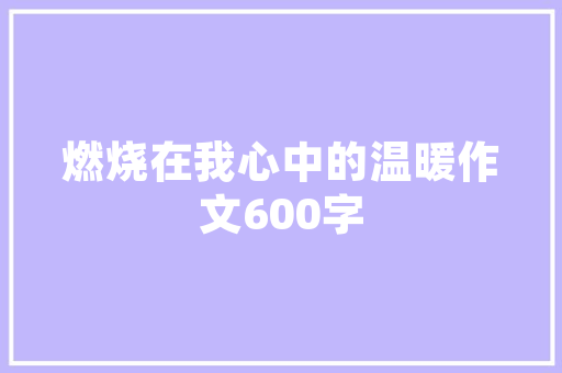 翻折折叠门厨房_后置厨卫打造多样化用车场景实拍罗曼特斯海豚C60