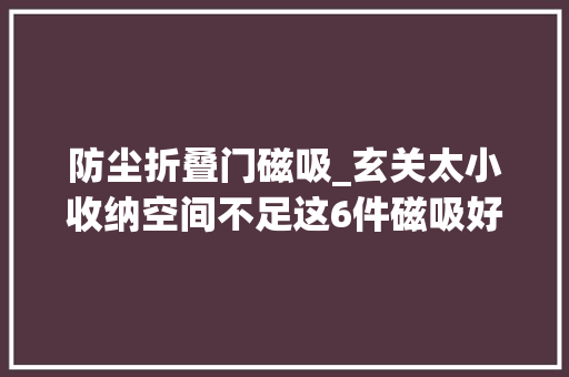 防尘折叠门磁吸_玄关太小收纳空间不足这6件磁吸好物把房门变成收纳柜