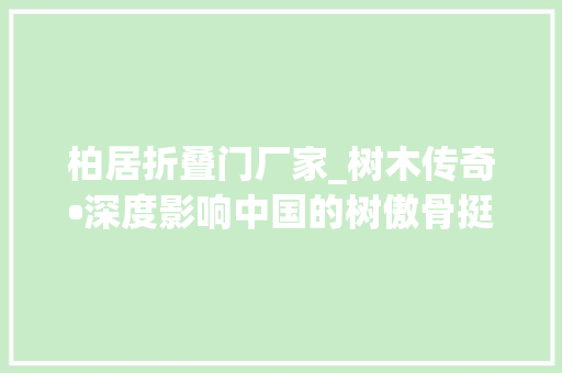 柏居折叠门厂家_树木传奇•深度影响中国的树傲骨挺立寰宇间松树