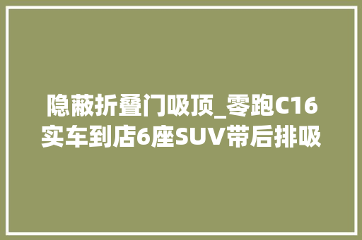 隐蔽折叠门吸顶_零跑C16实车到店6座SUV带后排吸顶屏顶配售价不到20万