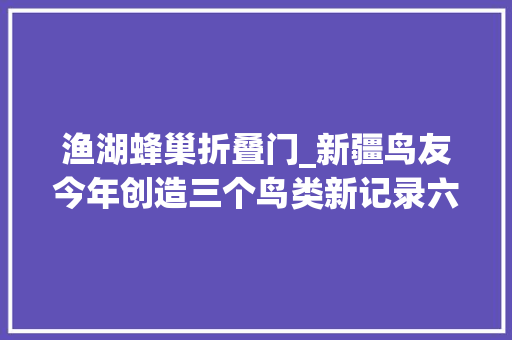 渔湖蜂巢折叠门_新疆鸟友今年创造三个鸟类新记录六种罕有鸟种