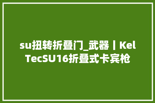 su扭转折叠门_武器丨KelTecSU16折叠式卡宾枪