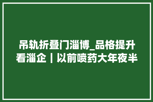 吊轨折叠门淄博_品格提升看淄企｜以前喷药大年夜半天如今20分钟就搞定智能新农具成为大年夜棚新标配