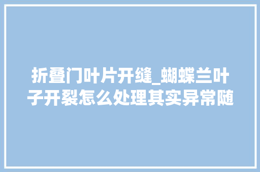 折叠门叶片开缝_蝴蝶兰叶子开裂怎么处理其实异常随意马虎就可以搞定