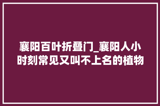 襄阳百叶折叠门_襄阳人小时刻常见又叫不上名的植物终于知道叫啥了太全了快收藏