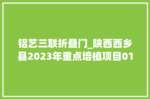 铝艺三联折叠门_陕西西乡县2023年重点培植项目01家当类66项133亿元