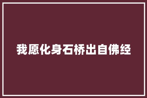 美多折叠门接窗_新车｜比宏光MINIEV实用性更高5门设计朋克多多PLUS实车曝光
