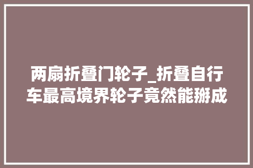 两扇折叠门轮子_折叠自行车最高境界轮子竟然能掰成三瓣