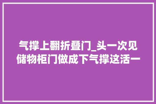 气撑上翻折叠门_头一次见储物柜门做成下气撑这活一般木工还真做不来