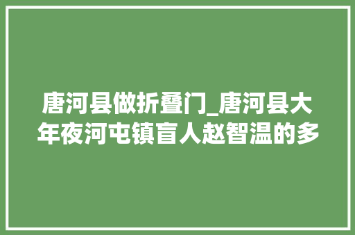 唐河县做折叠门_唐河县大年夜河屯镇盲人赵智温的多彩人生
